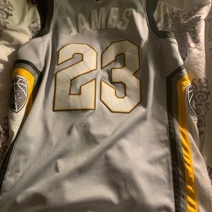 Nike LeBron the land jersey